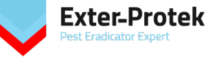 Logo Exter-Protek
